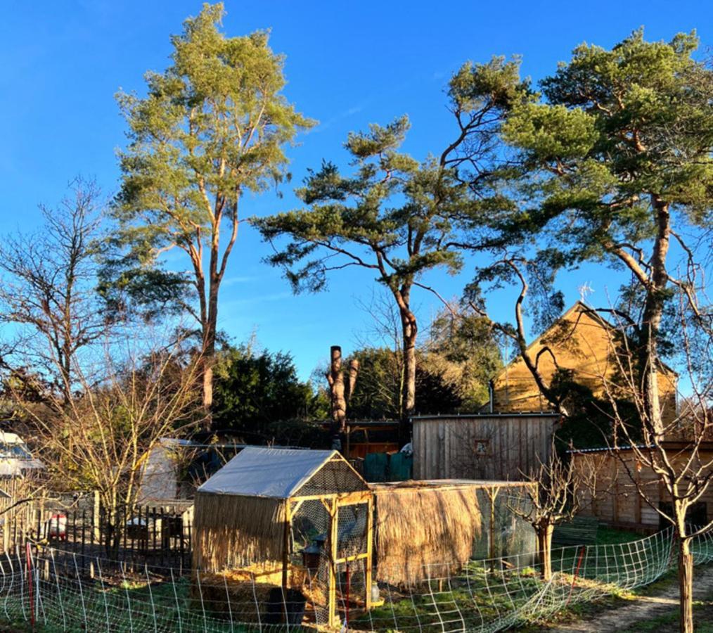 Ecolodge Beauregard Treigny Ngoại thất bức ảnh