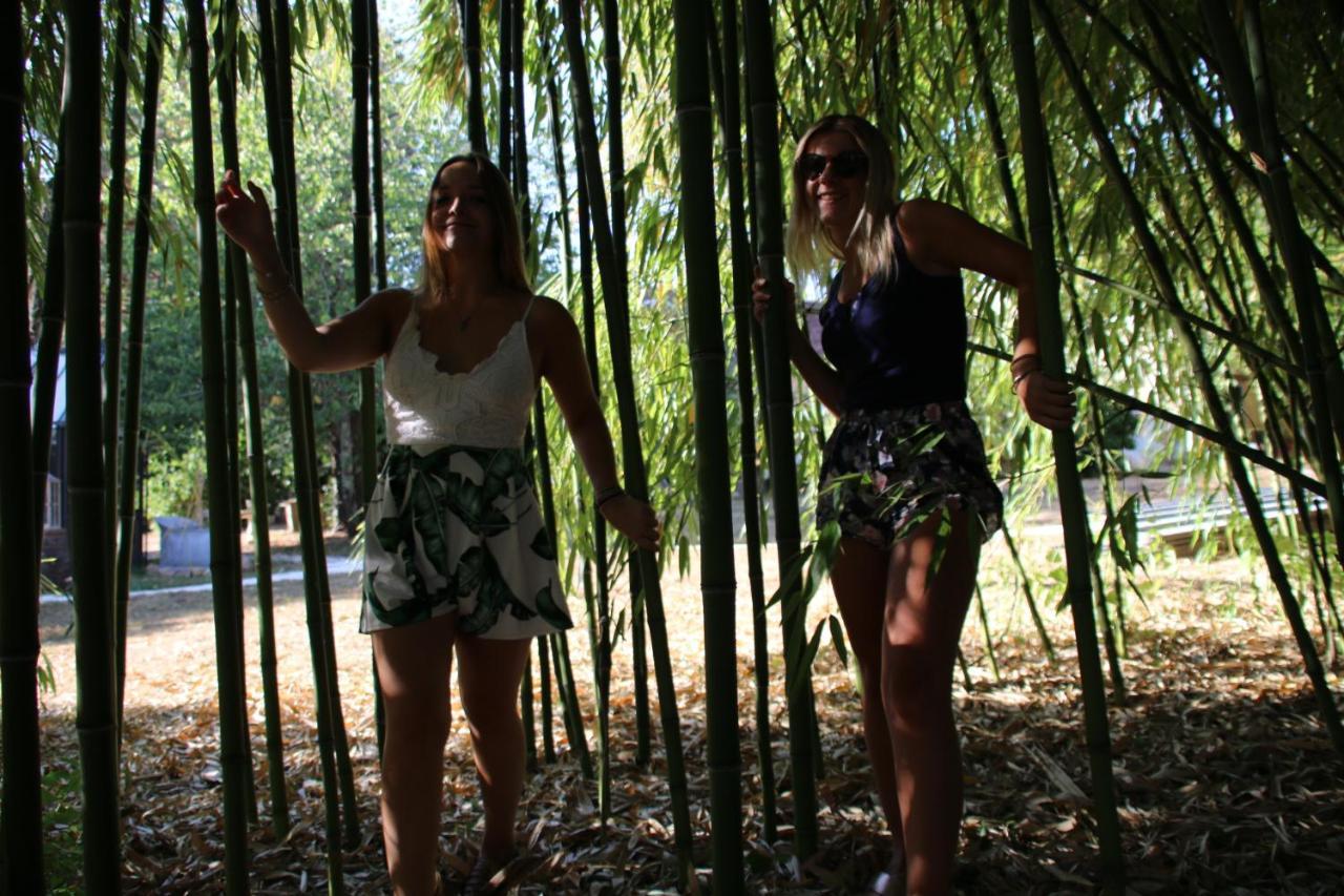 Ecolodge Beauregard Treigny Ngoại thất bức ảnh