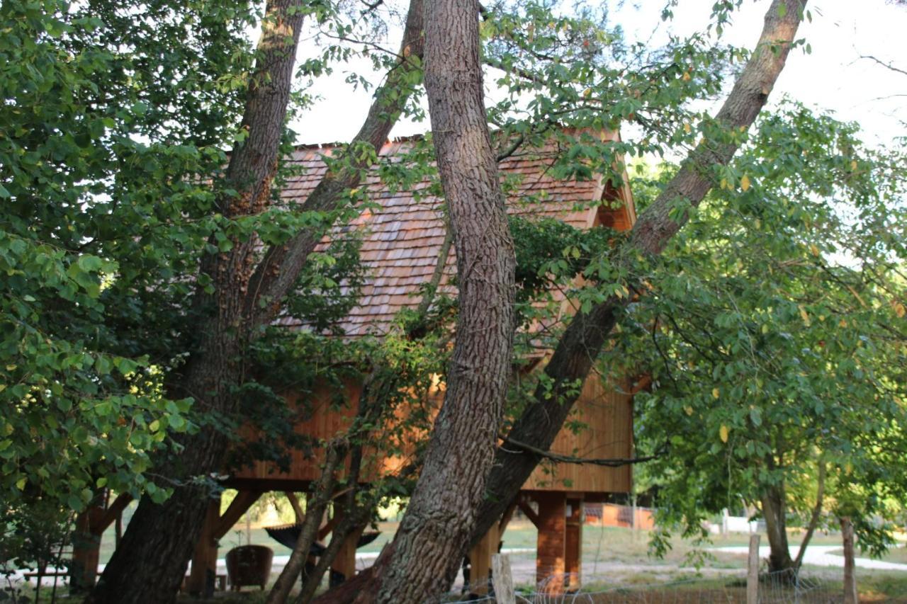 Ecolodge Beauregard Treigny Ngoại thất bức ảnh