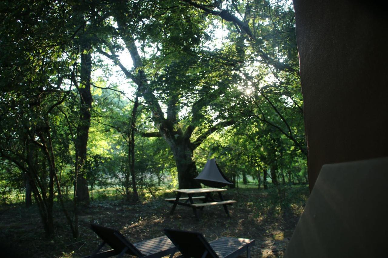 Ecolodge Beauregard Treigny Ngoại thất bức ảnh