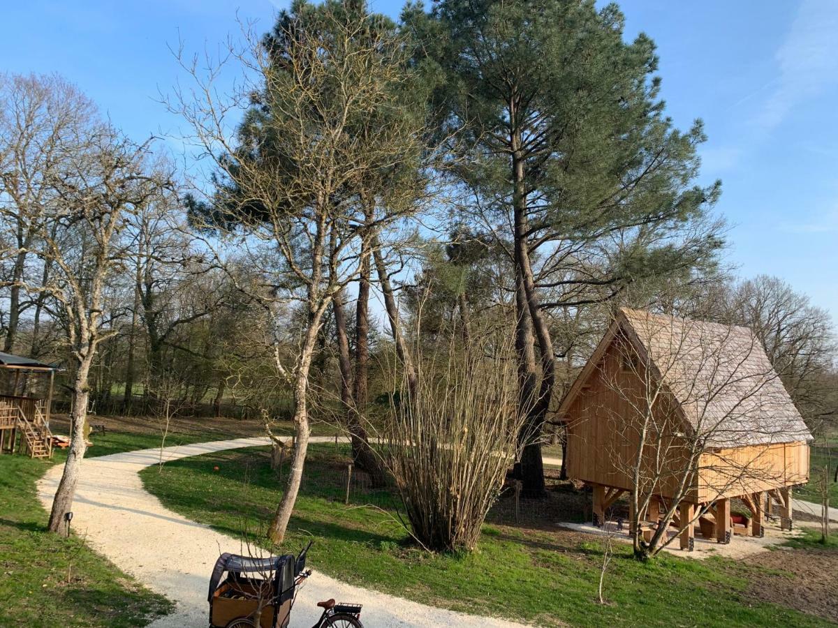 Ecolodge Beauregard Treigny Ngoại thất bức ảnh