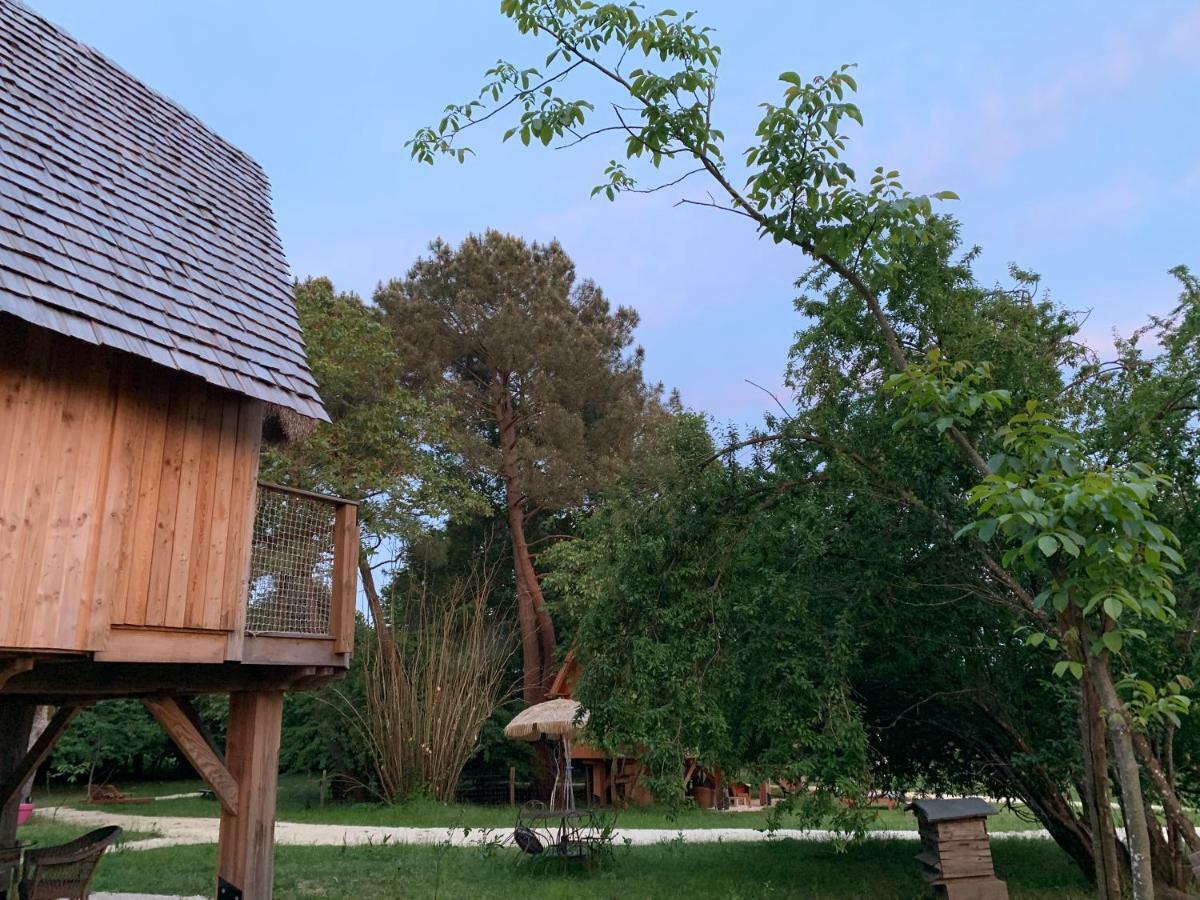 Ecolodge Beauregard Treigny Ngoại thất bức ảnh